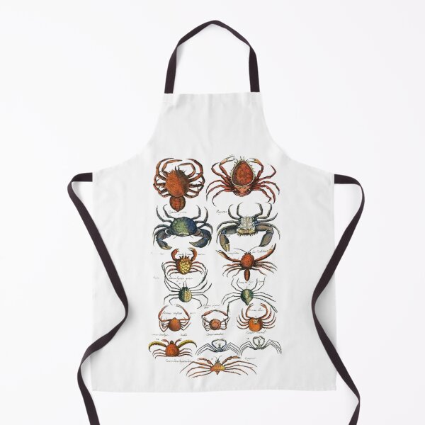 Item preview, Order Decapoda designed and sold by PatronesKawai.