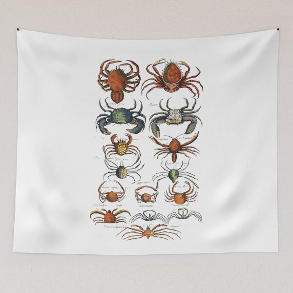 Item preview, Order Decapoda designed and sold by PatronesKawai.