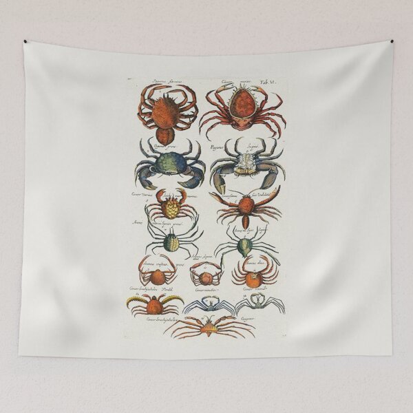 Item preview, Order Decapoda designed and sold by PatronesKawai.