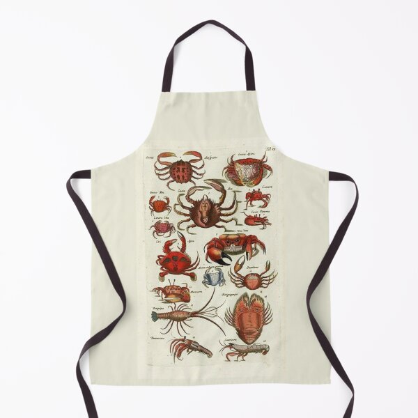 Item preview, Order Decapoda designed and sold by PatronesKawai.
