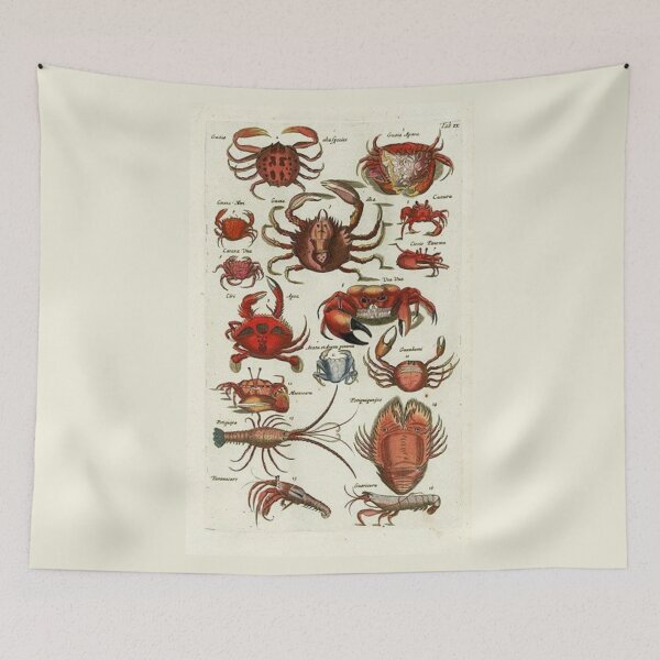 Item preview, Order Decapoda designed and sold by PatronesKawai.