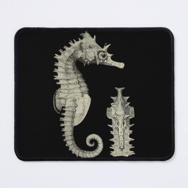 Item preview, Copy of Order Syngnathiformes designed and sold by PatronesKawai.