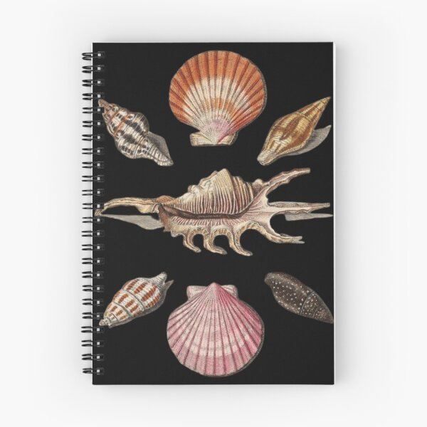 Item preview, Copy of Decapoda Order designed and sold by PatronesKawai.