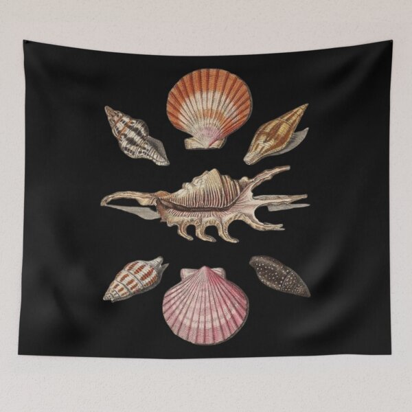 Item preview, Copy of Decapoda Order designed and sold by PatronesKawai.