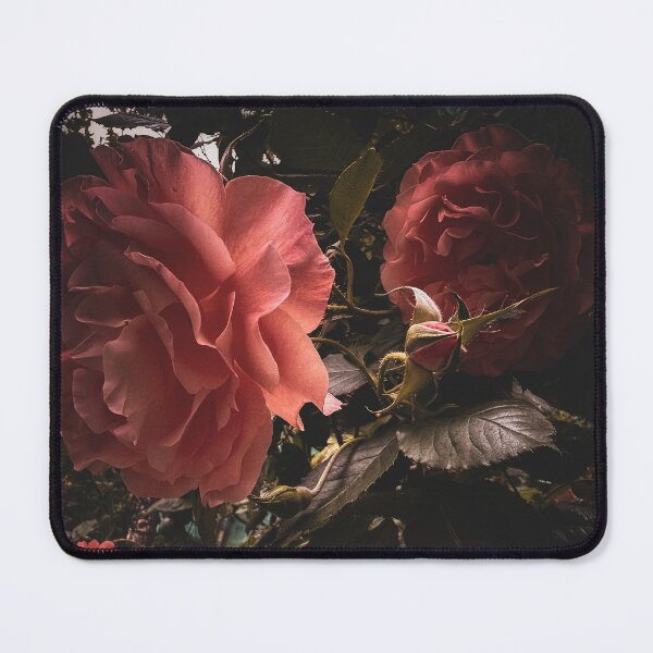 Item preview, Close-up view of a orange rose flowers Emerging from the darkness designed and sold by PavlinaBFDesign.