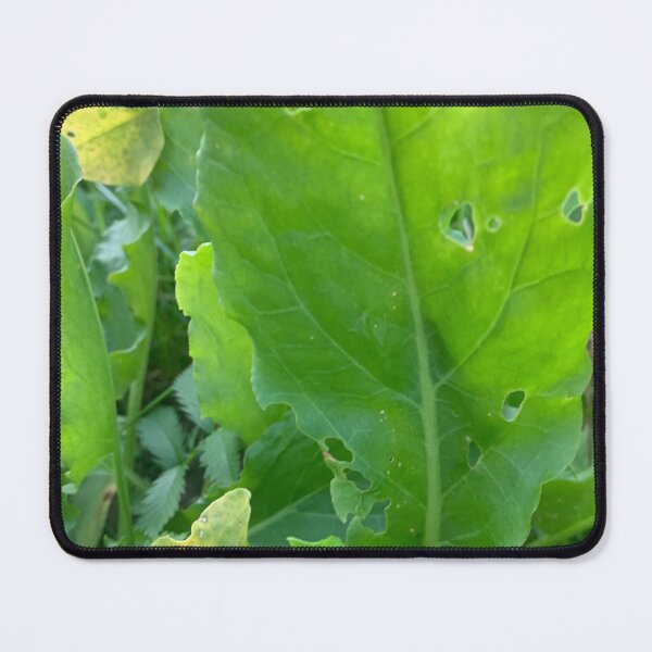 Item preview, Sorrel style. designed and sold by Valgasnews011.