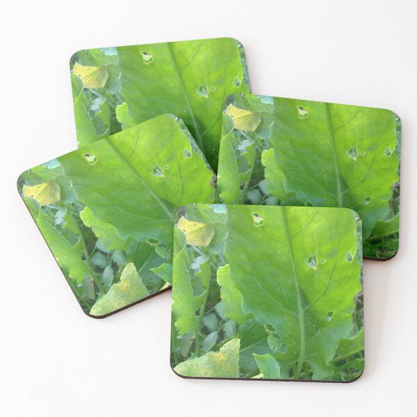 Item preview, Sorrel style. designed and sold by Valgasnews011.