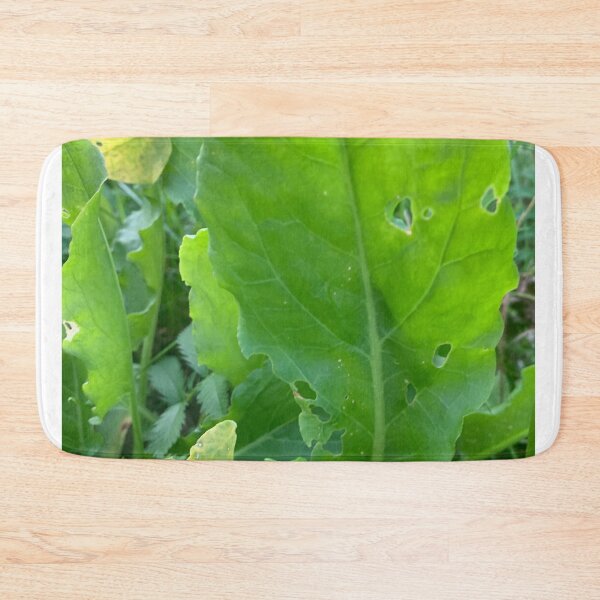 Item preview, Sorrel style. designed and sold by Valgasnews011.