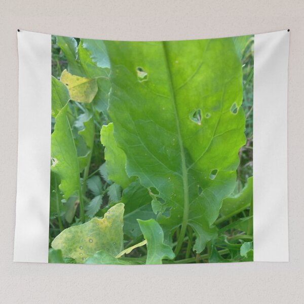 Item preview, Sorrel style. designed and sold by Valgasnews011.