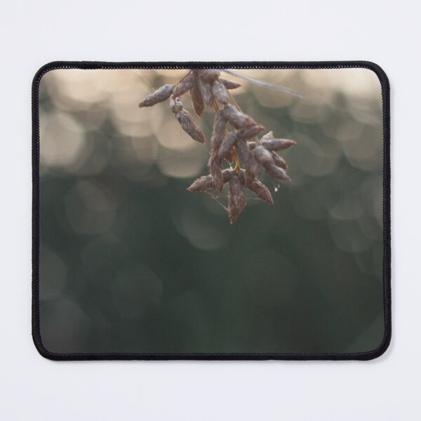 Item preview, fall flower, designed and sold by vellocent.