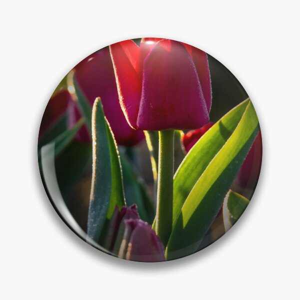 Item preview, Red Tulip designed and sold by Alla Gill.