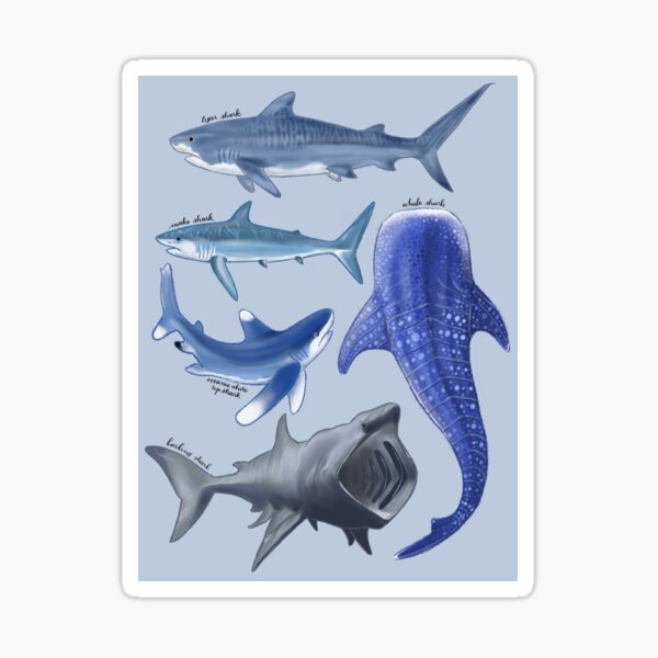 Vista previa del artículo con la obra «Tiburones», diseñado y vendido por solitarycactus.