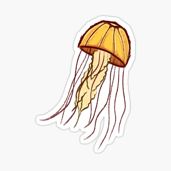 Pacific Sea Nettle Sticker