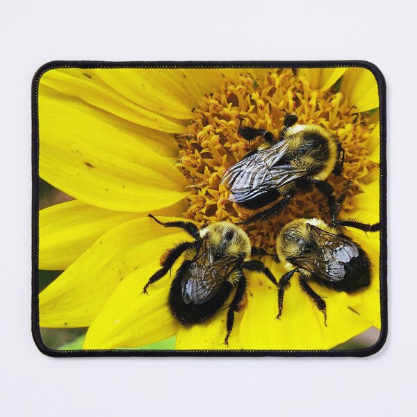 Item preview, Bees Knees designed and sold by LivandKit.