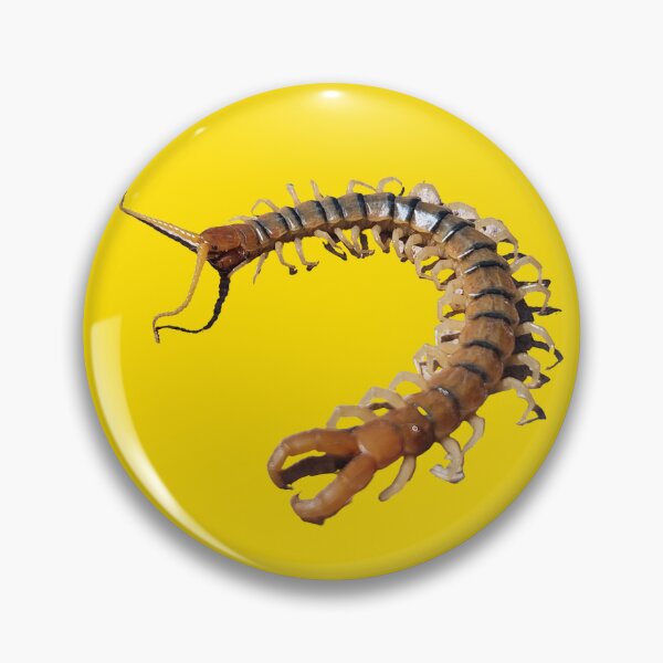 Item preview, Desert Centipede designed and sold by Creative Endeavors ..