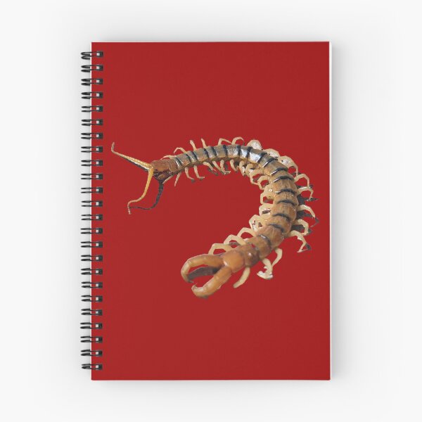 Item preview, Desert Centipede designed and sold by Creative Endeavors ..