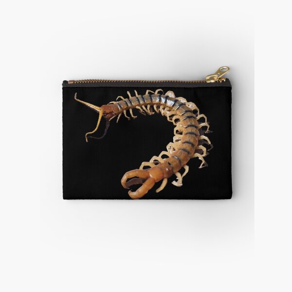 Item preview, Desert Centipede designed and sold by Creative Endeavors ..