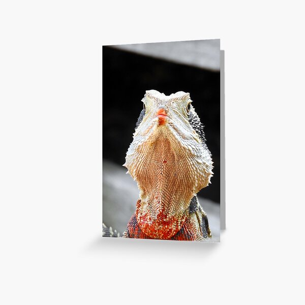 Eastern Water Dragon Greeting Card