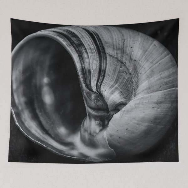 Item preview, Edward Weston 1886-1958, high resolution art of Edward Weston designed and sold by J-Oua.