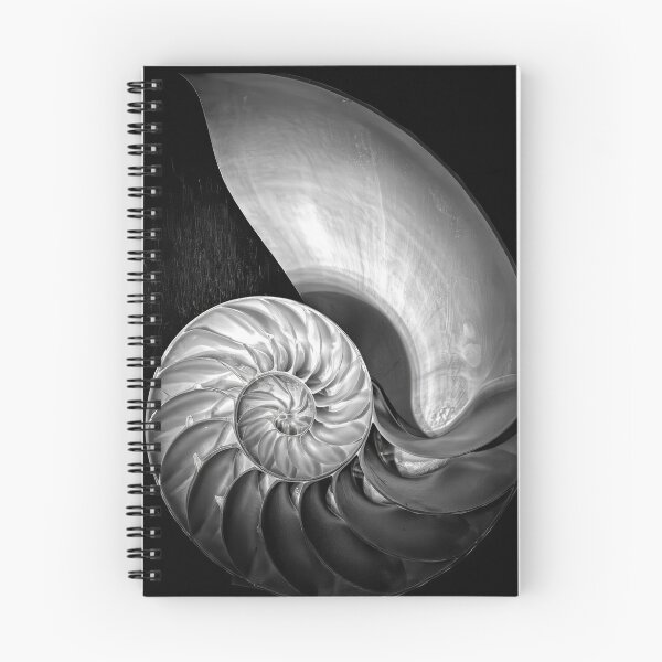 Item preview, Edward Weston 1886-1958, high resolution art of Edward Weston designed and sold by J-Oua.