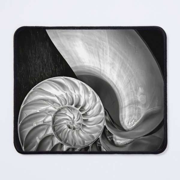 Item preview, Edward Weston 1886-1958, high resolution art of Edward Weston designed and sold by J-Oua.