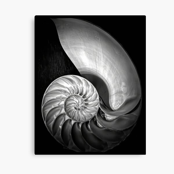 Artikel-Vorschau von Edward Weston 1886-1958, hochauflösende Kunst von Edward Weston, designt und verkauft von J-Oua.