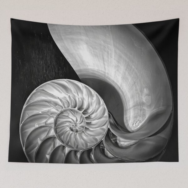 Item preview, Edward Weston 1886-1958, high resolution art of Edward Weston designed and sold by J-Oua.