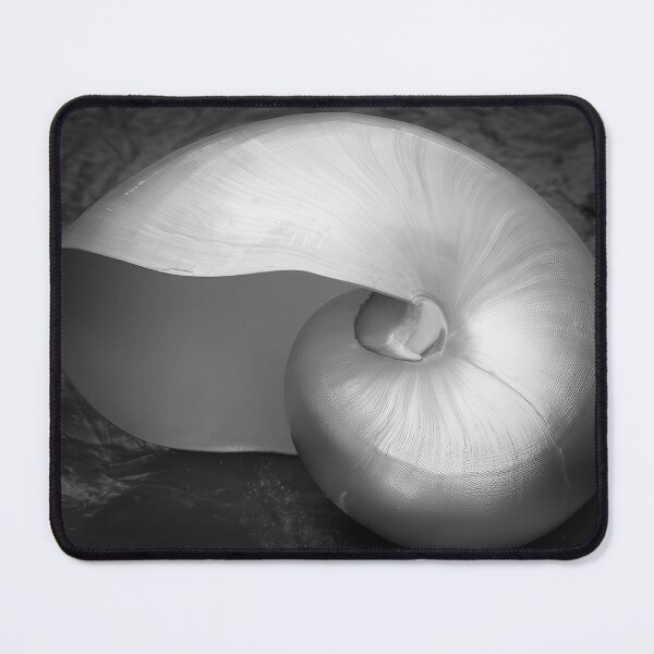 Item preview, Edward Weston 1886-1958, high resolution art of Edward Weston designed and sold by J-Oua.