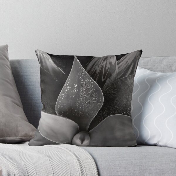 Item preview, Edward Weston 1886-1958, high resolution art of Edward Weston designed and sold by J-Oua.