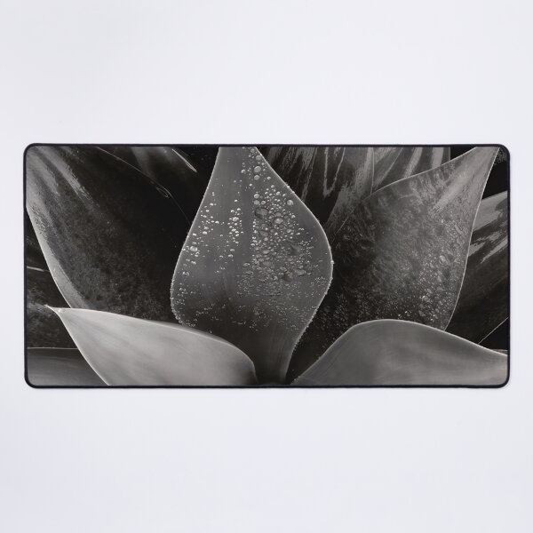 Item preview, Edward Weston 1886-1958, high resolution art of Edward Weston designed and sold by J-Oua.