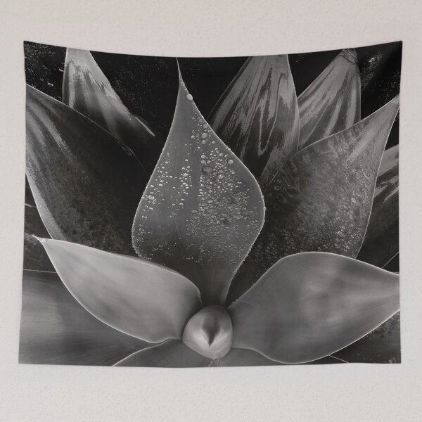 Item preview, Edward Weston 1886-1958, high resolution art of Edward Weston designed and sold by J-Oua.