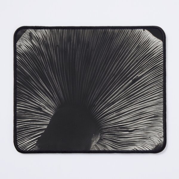 Item preview, Edward Weston 1886-1958, high resolution art of Edward Weston designed and sold by J-Oua.
