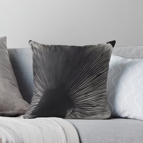Item preview, Edward Weston 1886-1958, high resolution art of Edward Weston designed and sold by J-Oua.