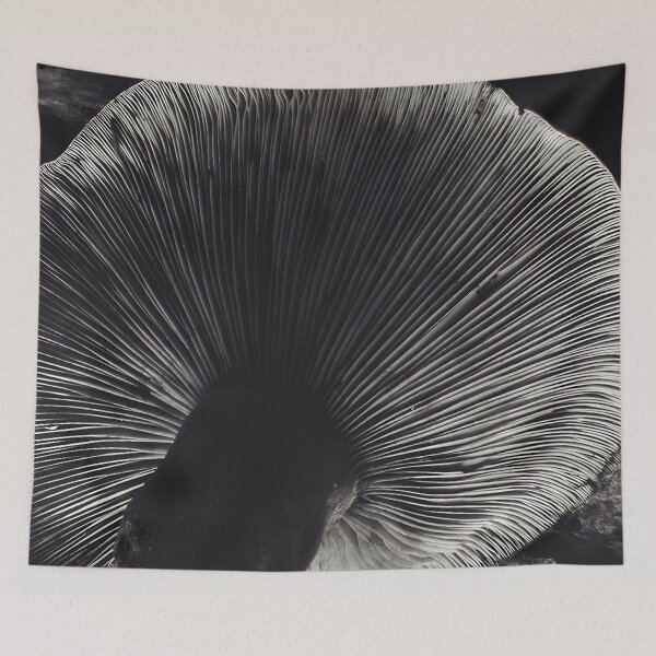 Item preview, Edward Weston 1886-1958, high resolution art of Edward Weston designed and sold by J-Oua.