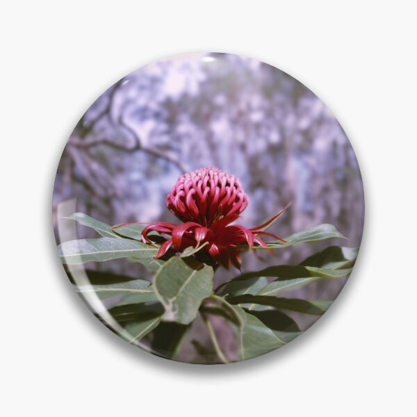 Item preview, Telopea speciosissima - Waratah designed and sold by Made-by-Gus.