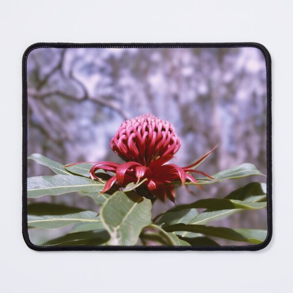 Item preview, Telopea speciosissima - Waratah designed and sold by Made-by-Gus.
