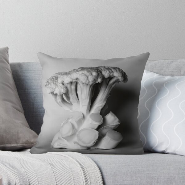 Item preview, Edward Weston 1886-1958, high resolution art of Edward Weston designed and sold by J-Oua.