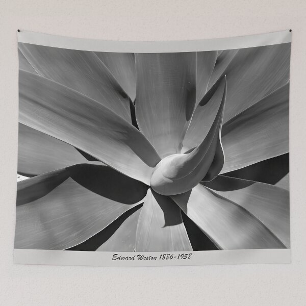 Item preview, Edward Weston 1886-1958, high resolution art of Edward Weston designed and sold by J-Oua.