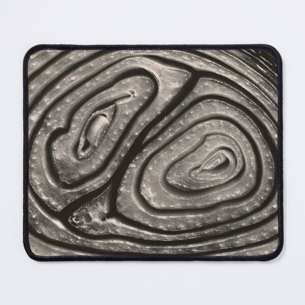 Item preview, Edward Weston 1886-1958, high resolution art of Edward Weston designed and sold by J-Oua.