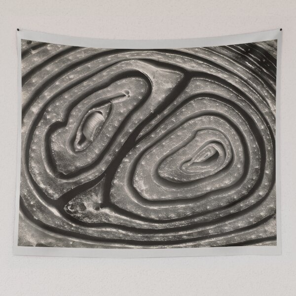 Item preview, Edward Weston 1886-1958, high resolution art of Edward Weston designed and sold by J-Oua.