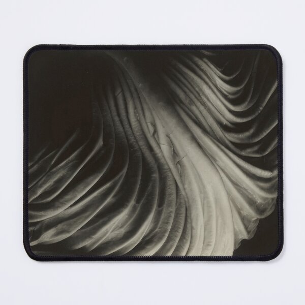 Item preview, Edward Weston 1886-1958, high resolution art of Edward Weston designed and sold by J-Oua.