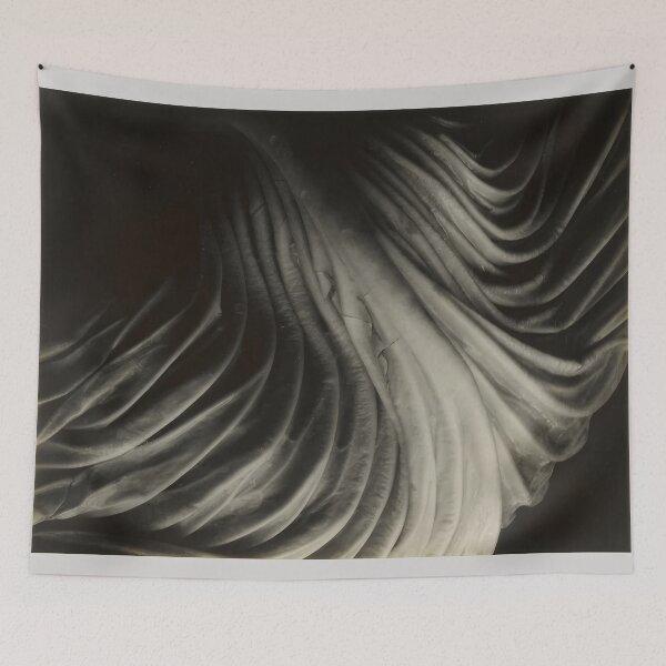 Item preview, Edward Weston 1886-1958, high resolution art of Edward Weston designed and sold by J-Oua.
