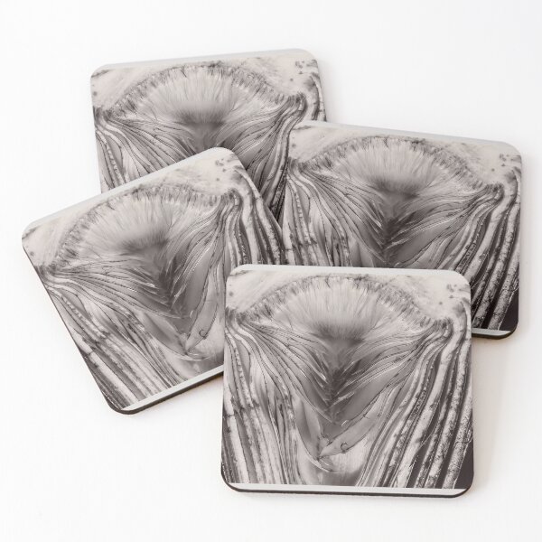 Item preview, Edward Weston 1886-1958, high resolution art of Edward Weston designed and sold by J-Oua.