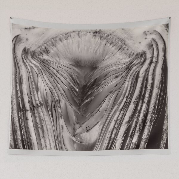 Item preview, Edward Weston 1886-1958, high resolution art of Edward Weston designed and sold by J-Oua.