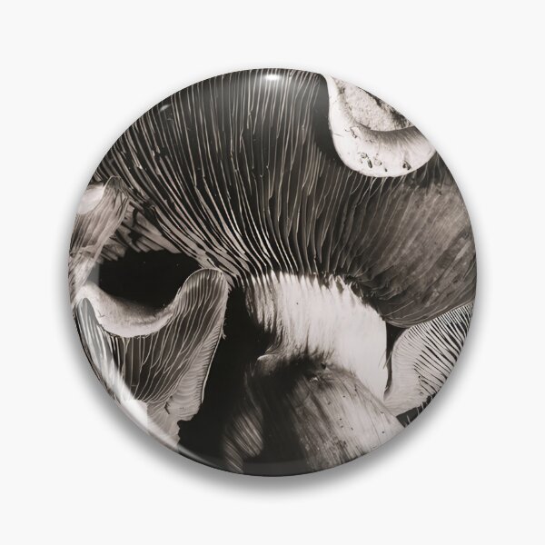 Item preview, Edward Weston 1886-1958, high resolution art of Edward Weston designed and sold by J-Oua.