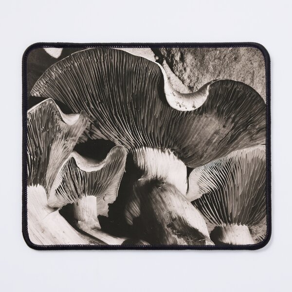 Item preview, Edward Weston 1886-1958, high resolution art of Edward Weston designed and sold by J-Oua.