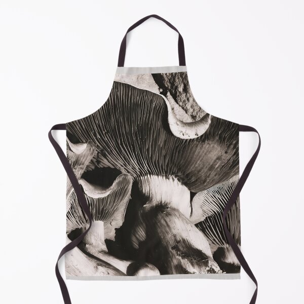 Item preview, Edward Weston 1886-1958, high resolution art of Edward Weston designed and sold by J-Oua.