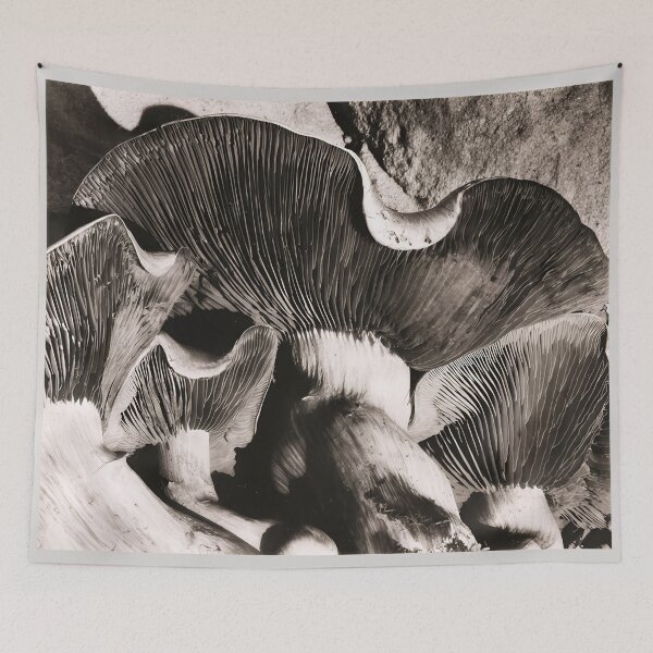 Item preview, Edward Weston 1886-1958, high resolution art of Edward Weston designed and sold by J-Oua.