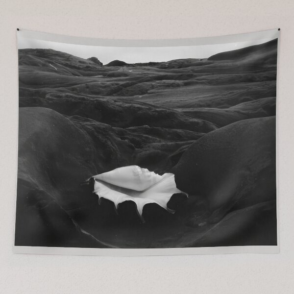 Item preview, Edward Weston 1886-1958, high resolution art of Edward Weston designed and sold by J-Oua.
