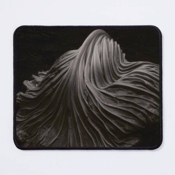 Item preview, Edward Weston 1886-1958, high resolution art of Edward Weston designed and sold by J-Oua.